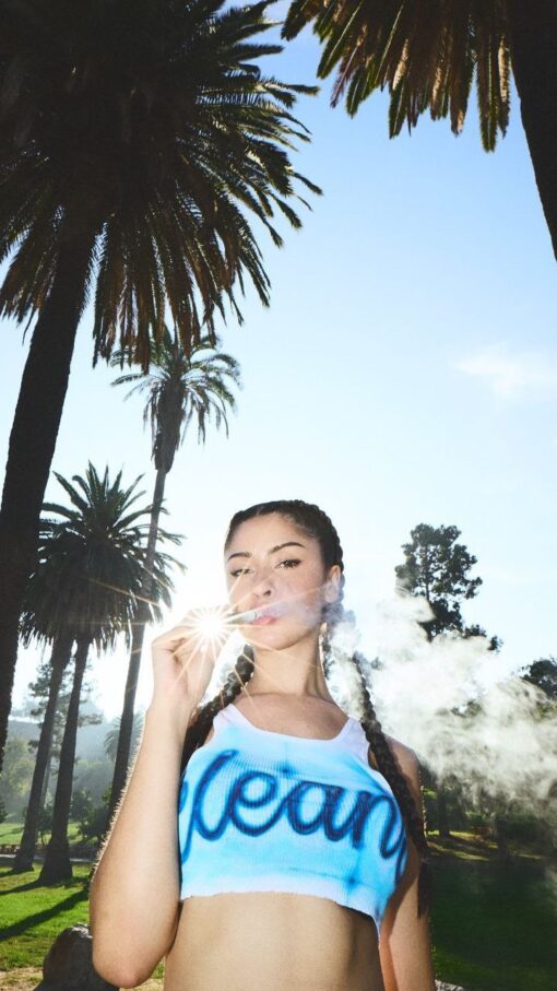 Clean carts 2g disposable